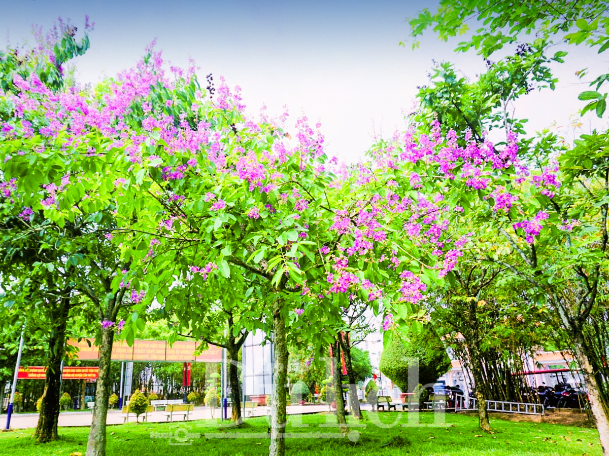 Bí thư Trần Lưu Quang về thăm Ngã Ba Giồng - Hành trình về nguồn thiêng liêng lịch sử - 5