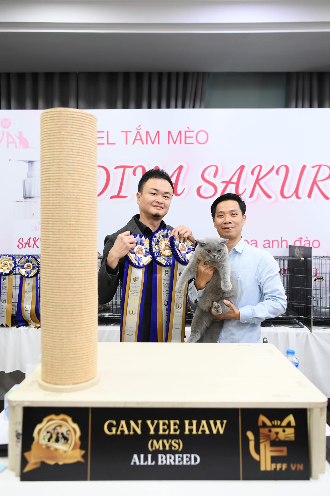 2 bé mèo Anh lông ngắn đăng quang trở thành Hoa hậu mèo FFF tại Việt Nam - 2