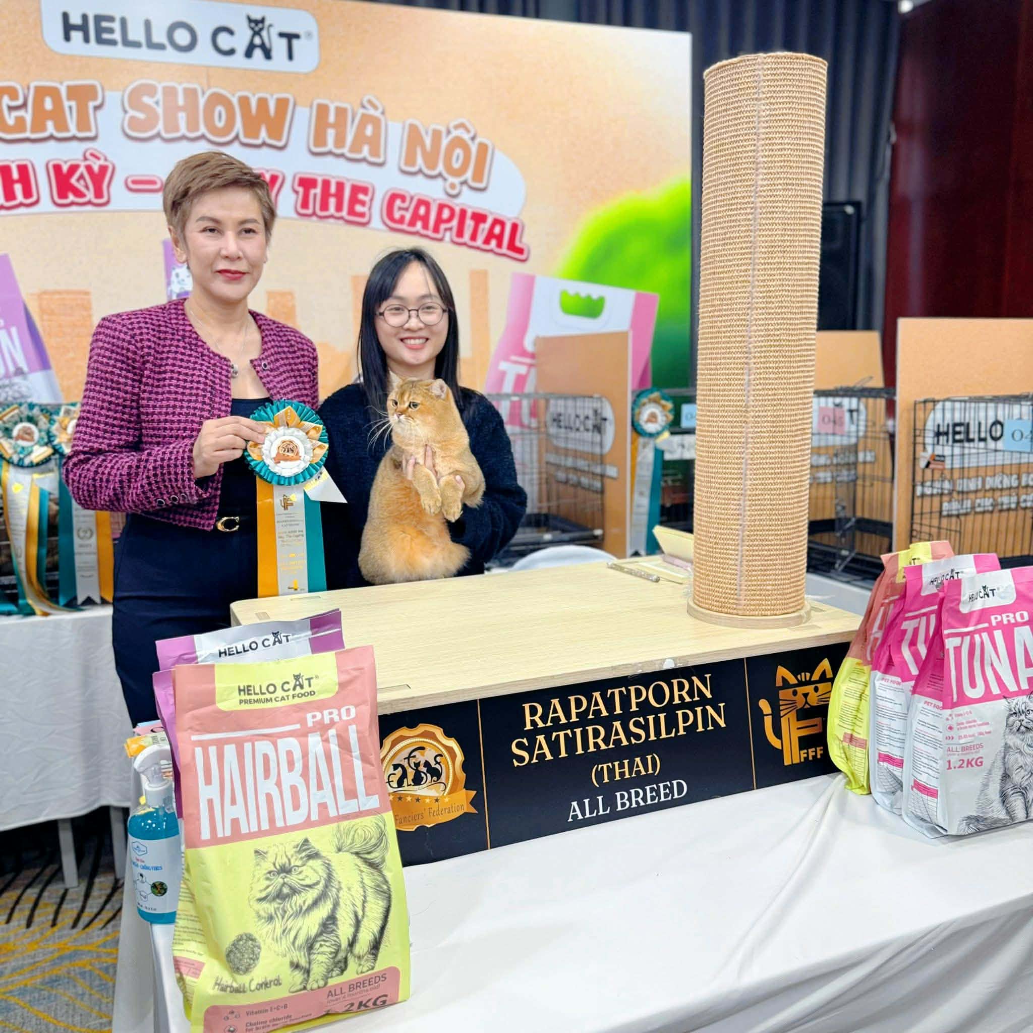 2 bé mèo Anh lông ngắn đăng quang trở thành Hoa hậu mèo FFF tại Việt Nam - 5