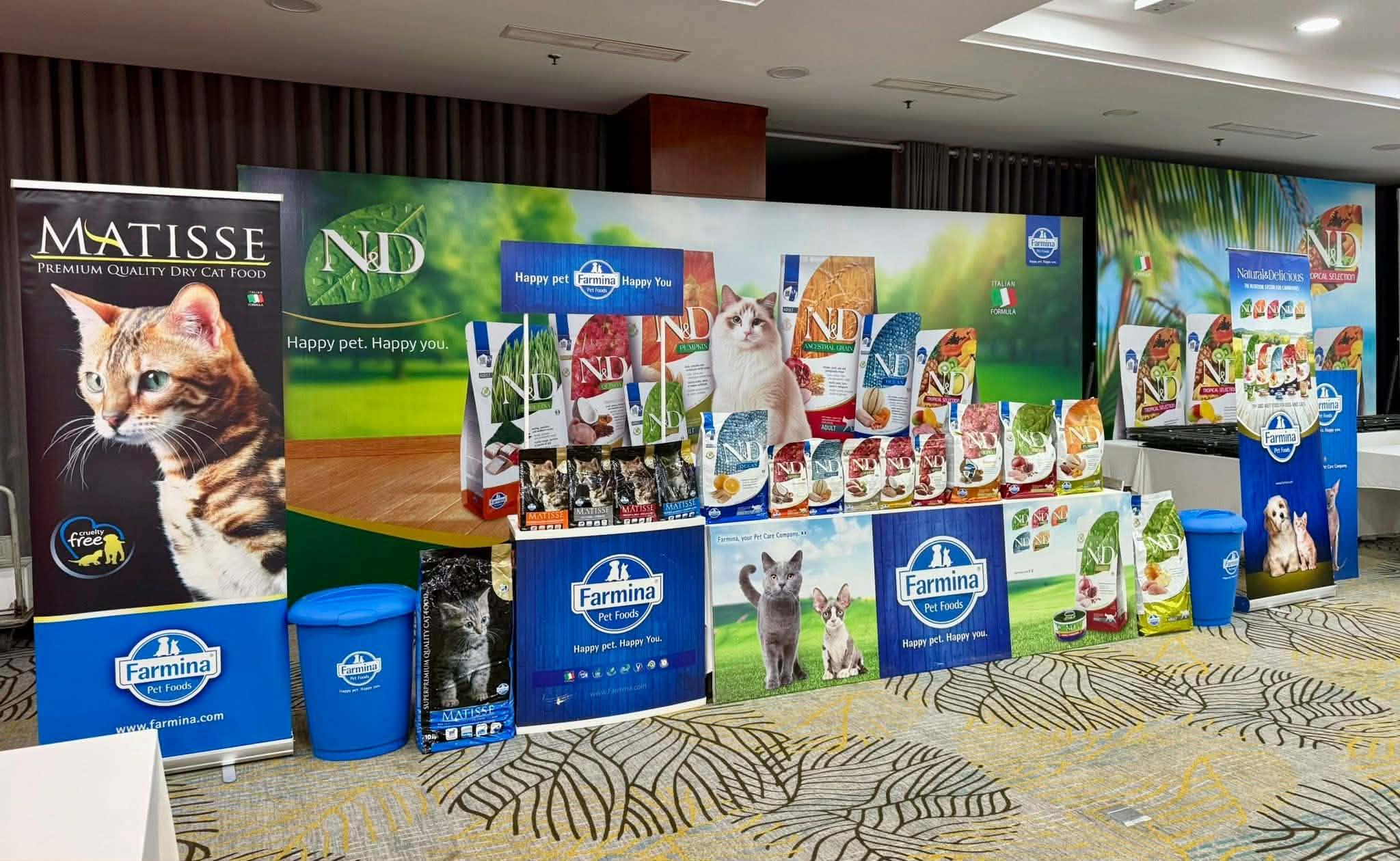 2 bé mèo Anh lông ngắn đăng quang trở thành Hoa hậu mèo FFF tại Việt Nam - 4