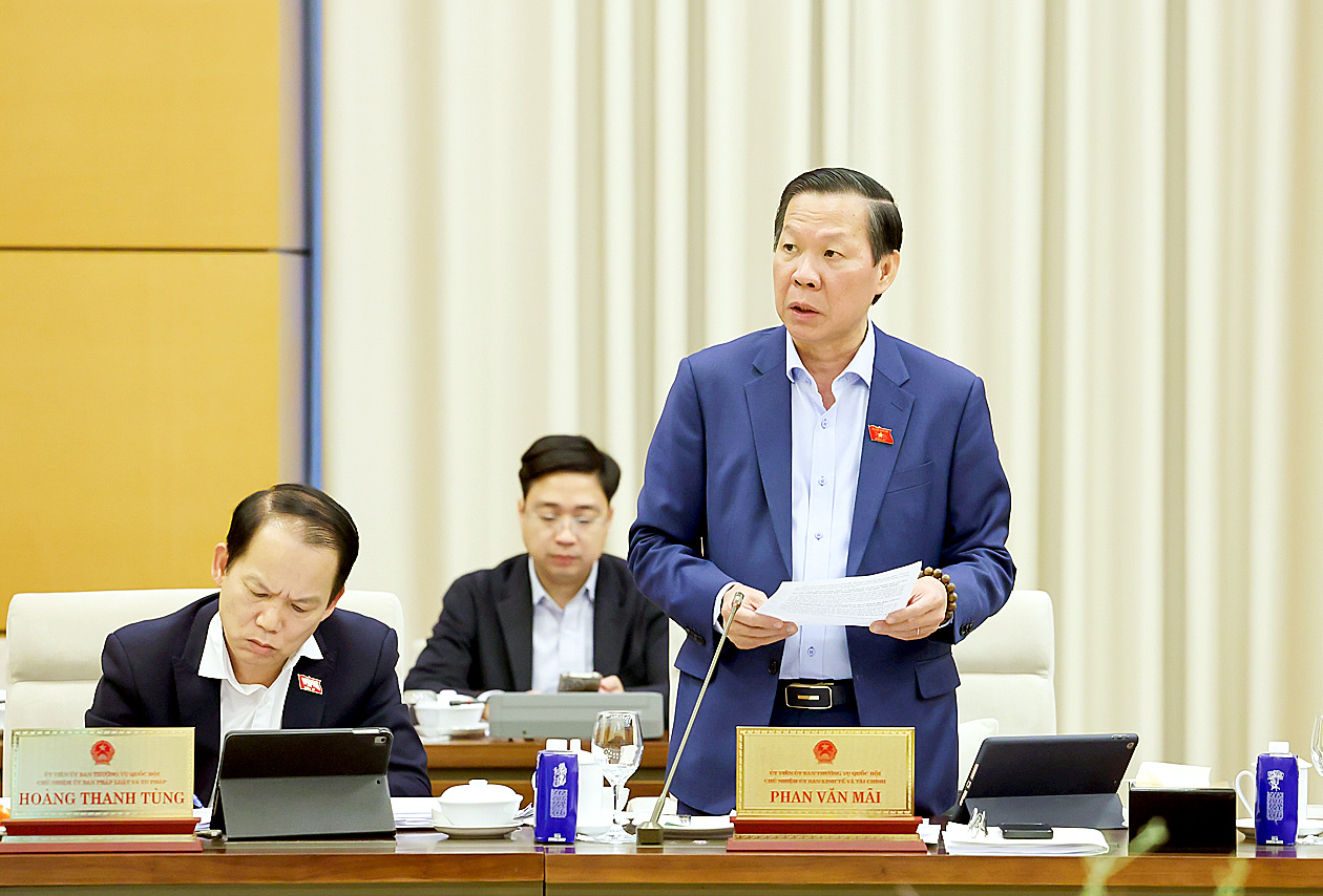 Khu thương mại tự do là cơ chế đặc thù mới của TPHCM - 2