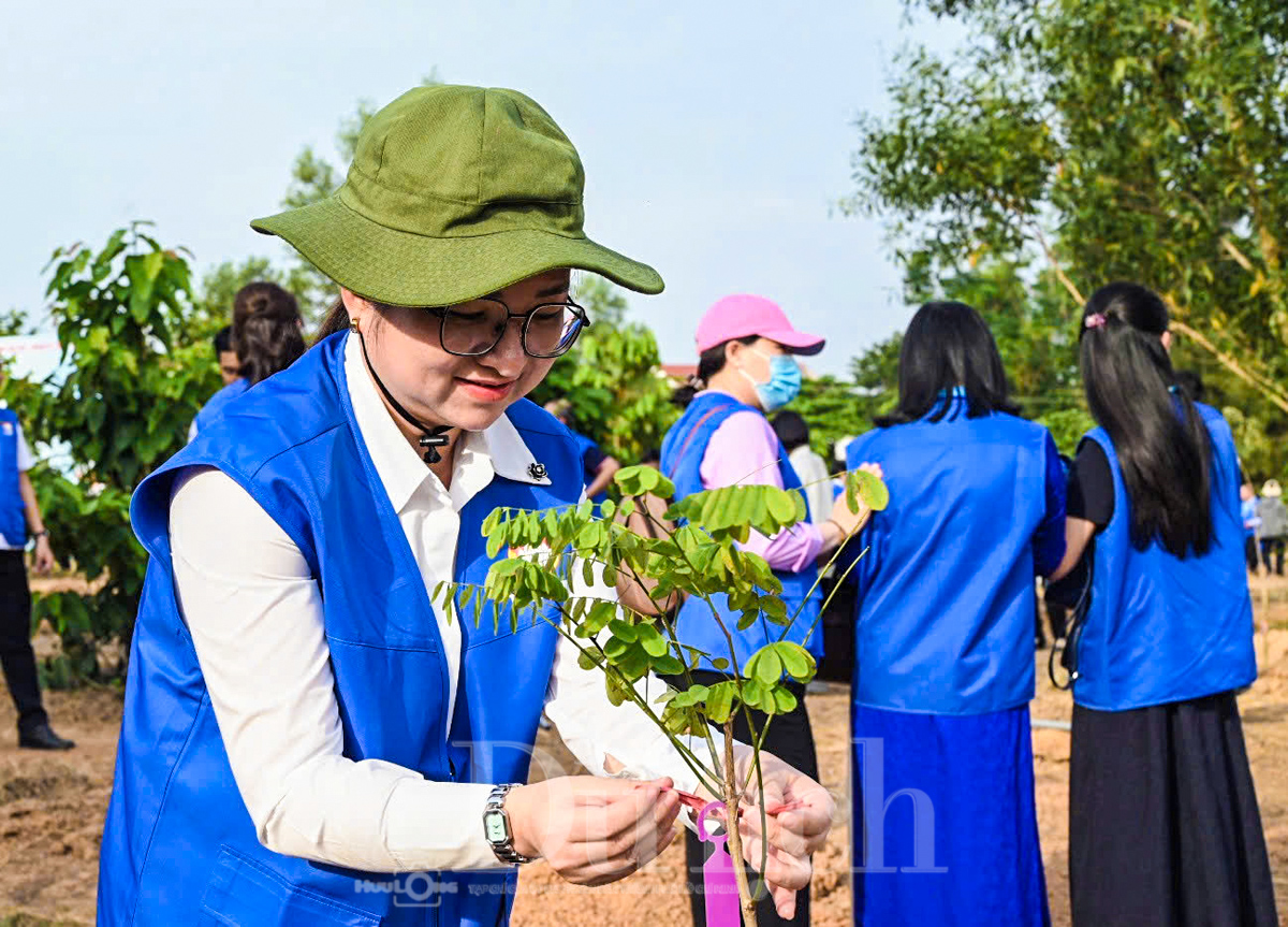 ‘Vườn cây Đại đoàn kết’ - Điểm hẹn xanh vun đắp từ tâm huyết 500 đại biểu TP.HCM - 6