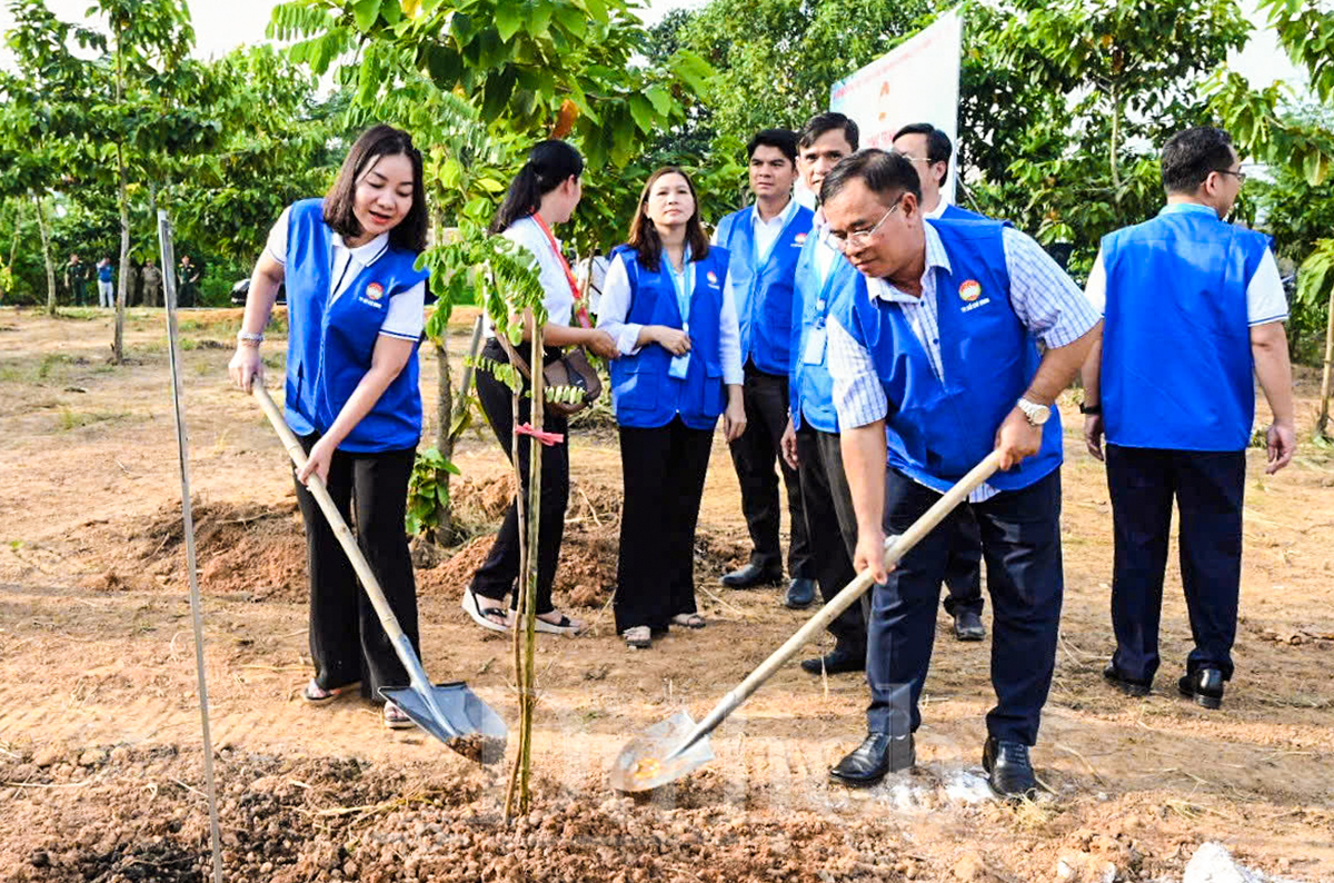 ‘Vườn cây Đại đoàn kết’ - Điểm hẹn xanh vun đắp từ tâm huyết 500 đại biểu TP.HCM - 5