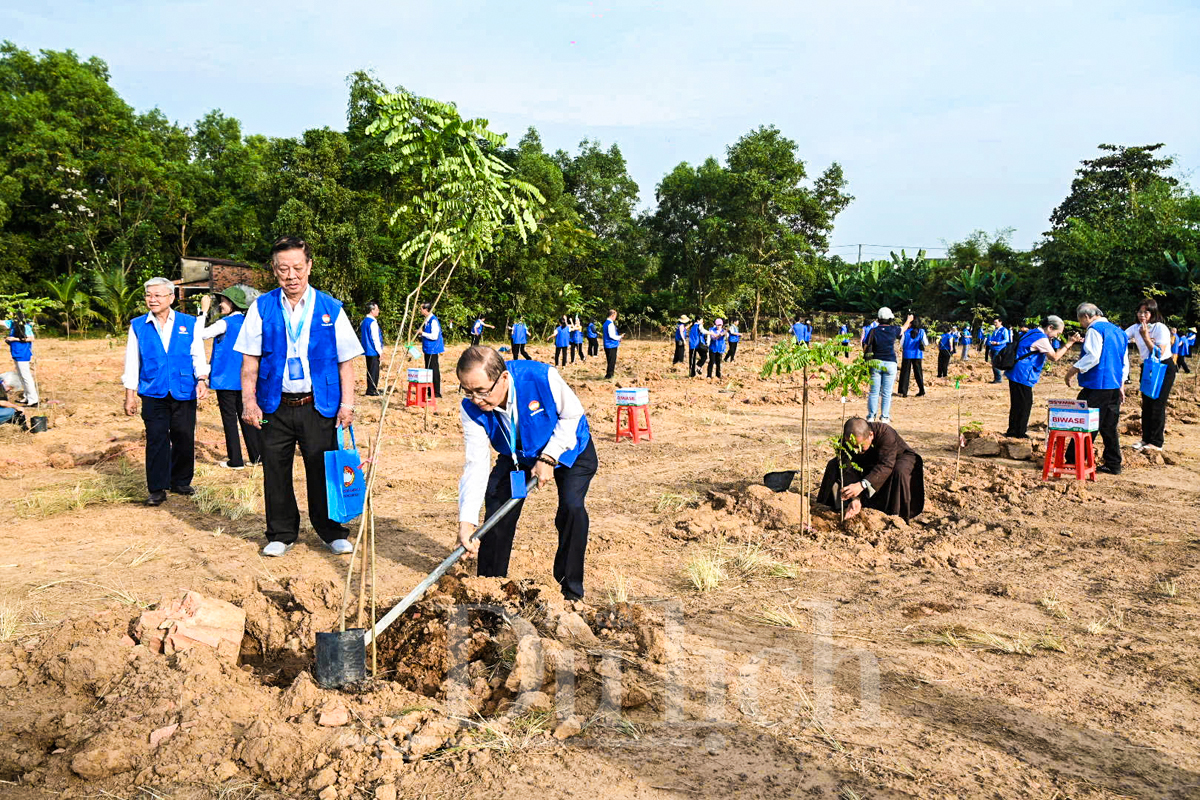 ‘Vườn cây Đại đoàn kết’ - Điểm hẹn xanh vun đắp từ tâm huyết 500 đại biểu TP.HCM - 1