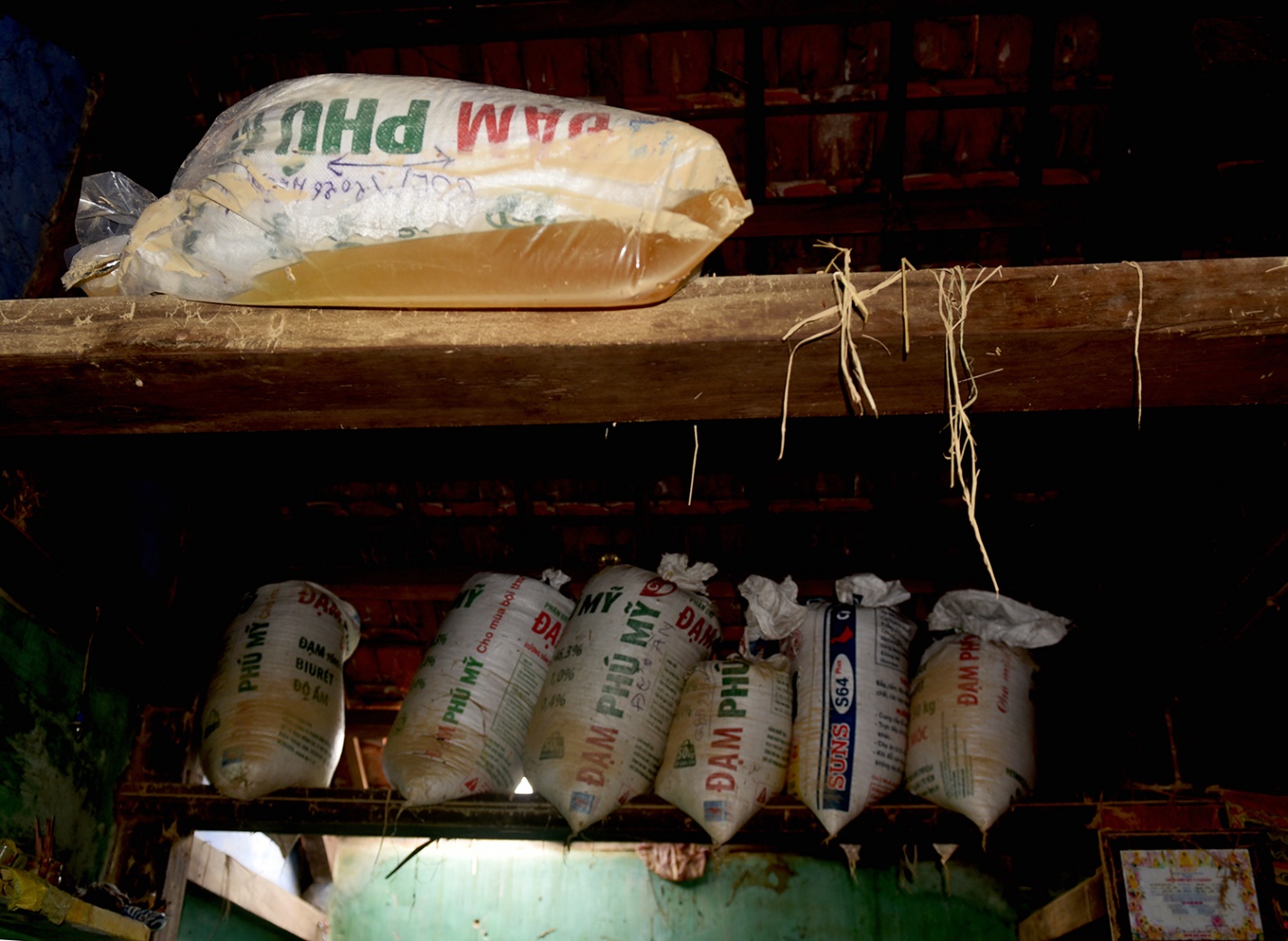 tang thuong o vung ron lu hoa thinh - 9