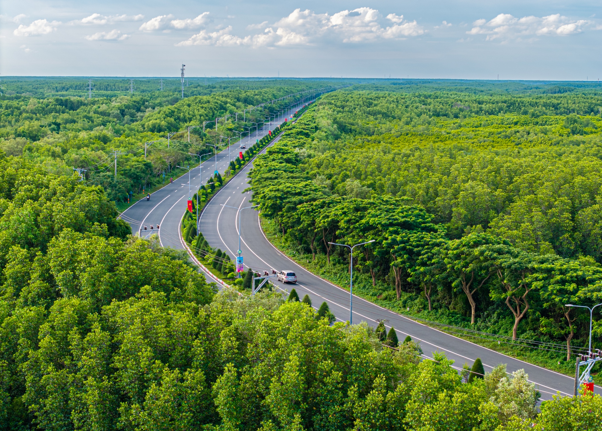 'Mạch xanh' xuyên tâm Cần Giờ chuẩn bị thay áo mới - 1