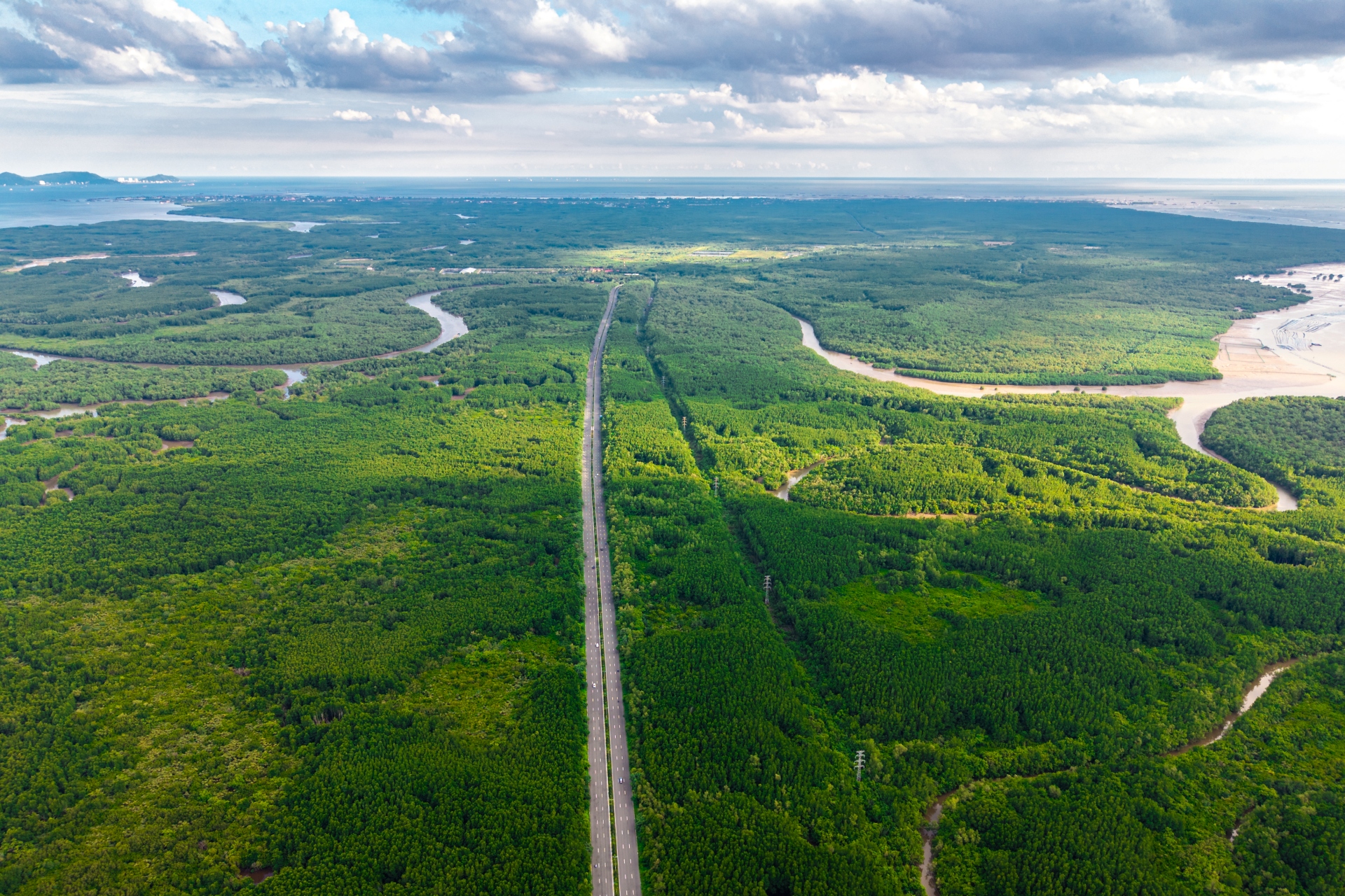 'Mạch xanh' xuyên tâm Cần Giờ chuẩn bị thay áo mới - 2