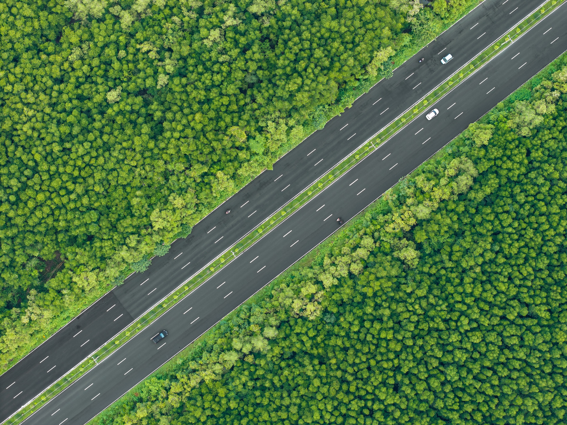 'Mạch xanh' xuyên tâm Cần Giờ chuẩn bị thay áo mới - 3