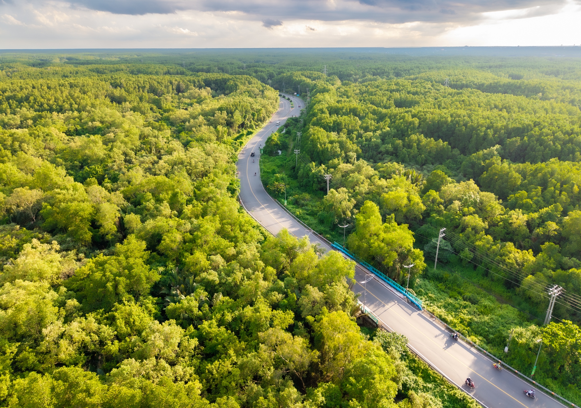 'Mạch xanh' xuyên tâm Cần Giờ chuẩn bị thay áo mới - 4