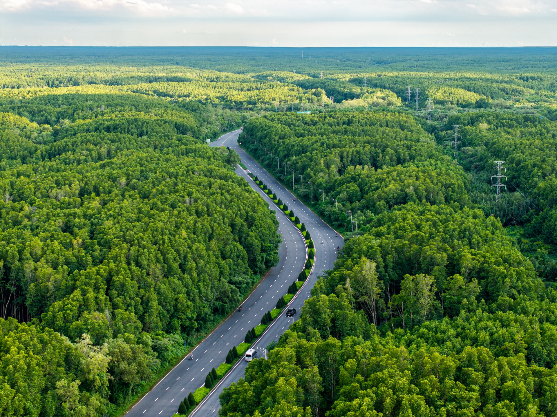'Mạch xanh' xuyên tâm Cần Giờ chuẩn bị thay áo mới - 5