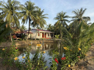 Chuyển động - Xã Nhị Long (Vĩnh Long) khởi động mô hình du lịch cộng đồng với chuỗi trải nghiệm xuyên suốt