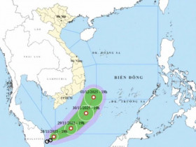  - TP.HCM: Tàu du lịch khẩn trương tránh trú trước áp thấp nhiệt đới dị thường