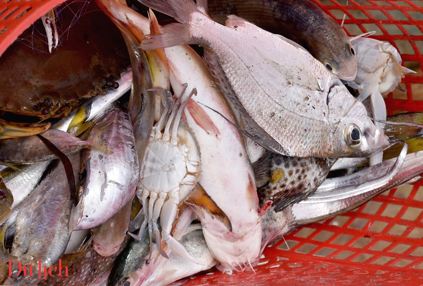 mua bien dong, nhung chiec thuyen thung vuot song gio mang ve tien trieu cho ngu dan - 15