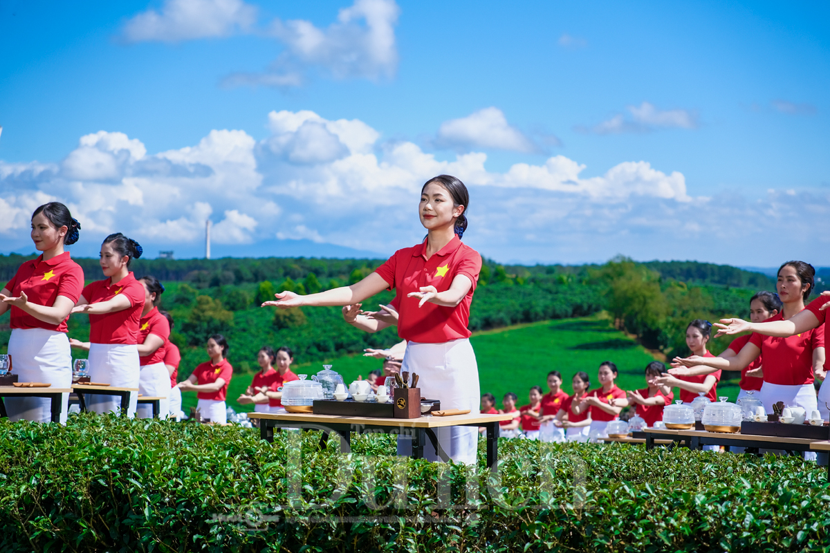 ‘Việt trà thức’ - Bản giao hưởng 1111 mảnh ghép tinh túy hồn trà Việt - 5