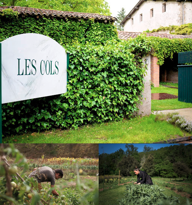 Tái định nghĩa "ẩm thực bền vững" : Không chỉ là “xanh” nguyên liệu mà còn là cảm xúc, xã hội - 3