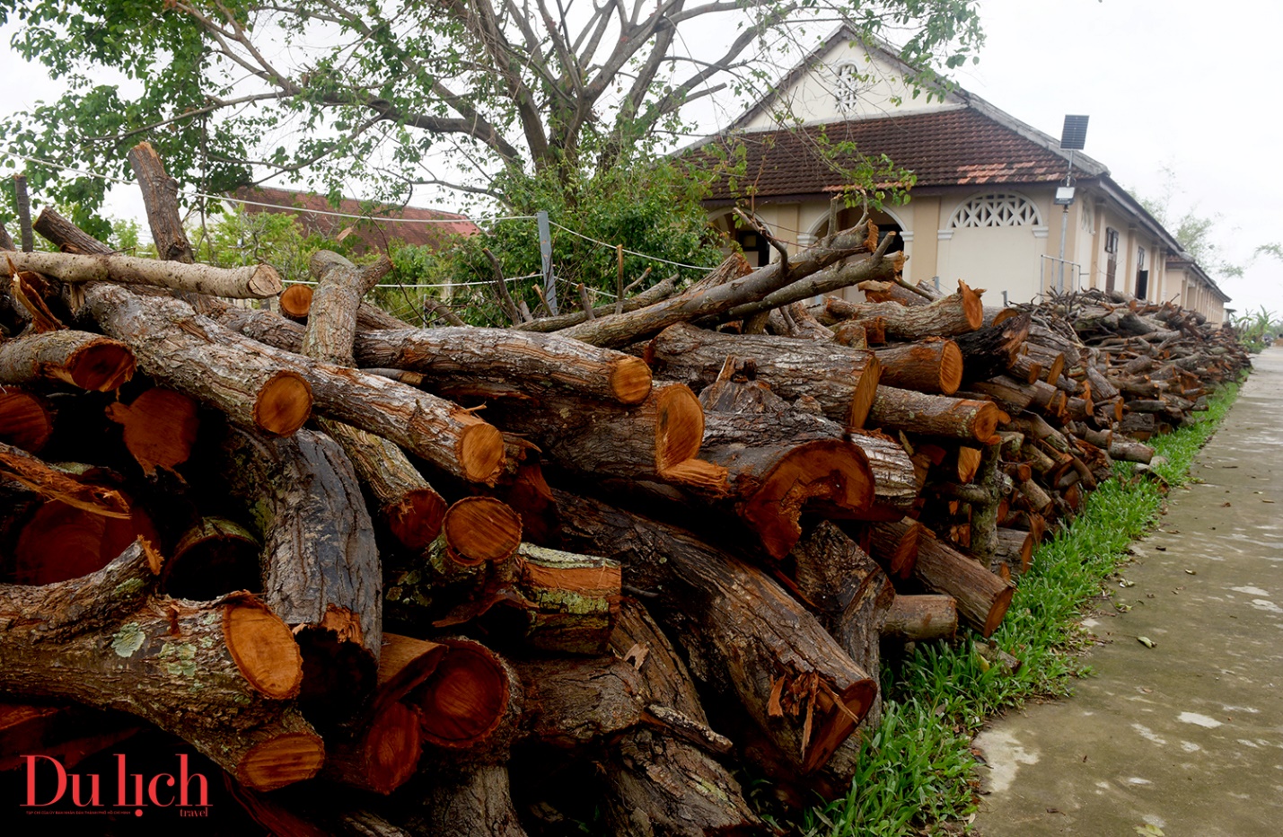 tieu chung vien lang song o gia lai xo xac sau bao - 7