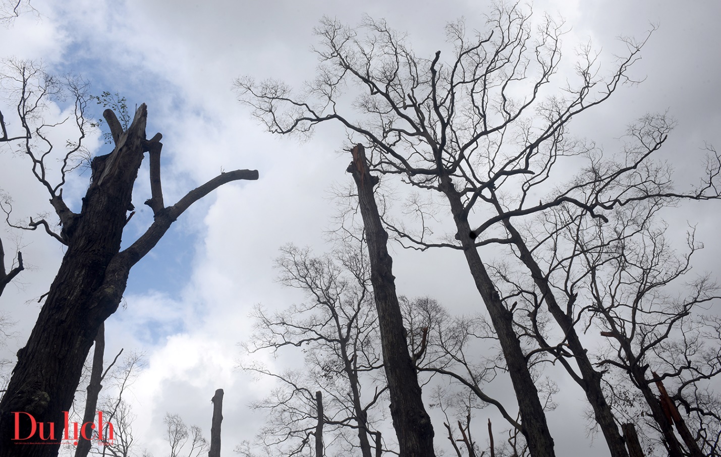 tieu chung vien lang song o gia lai xo xac sau bao - 6