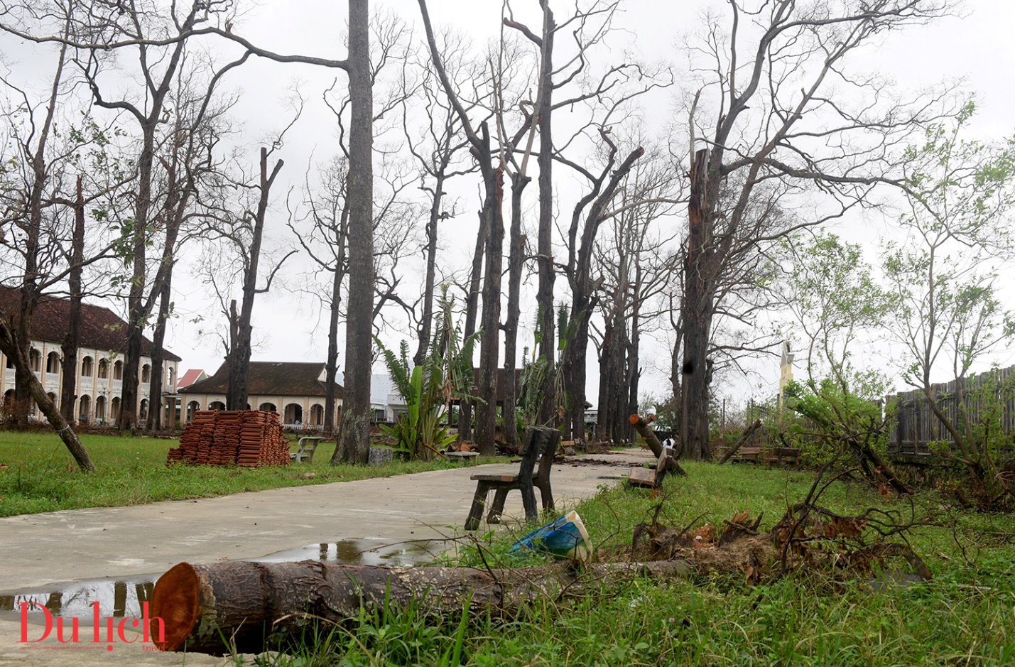 tieu chung vien lang song o gia lai xo xac sau bao - 12