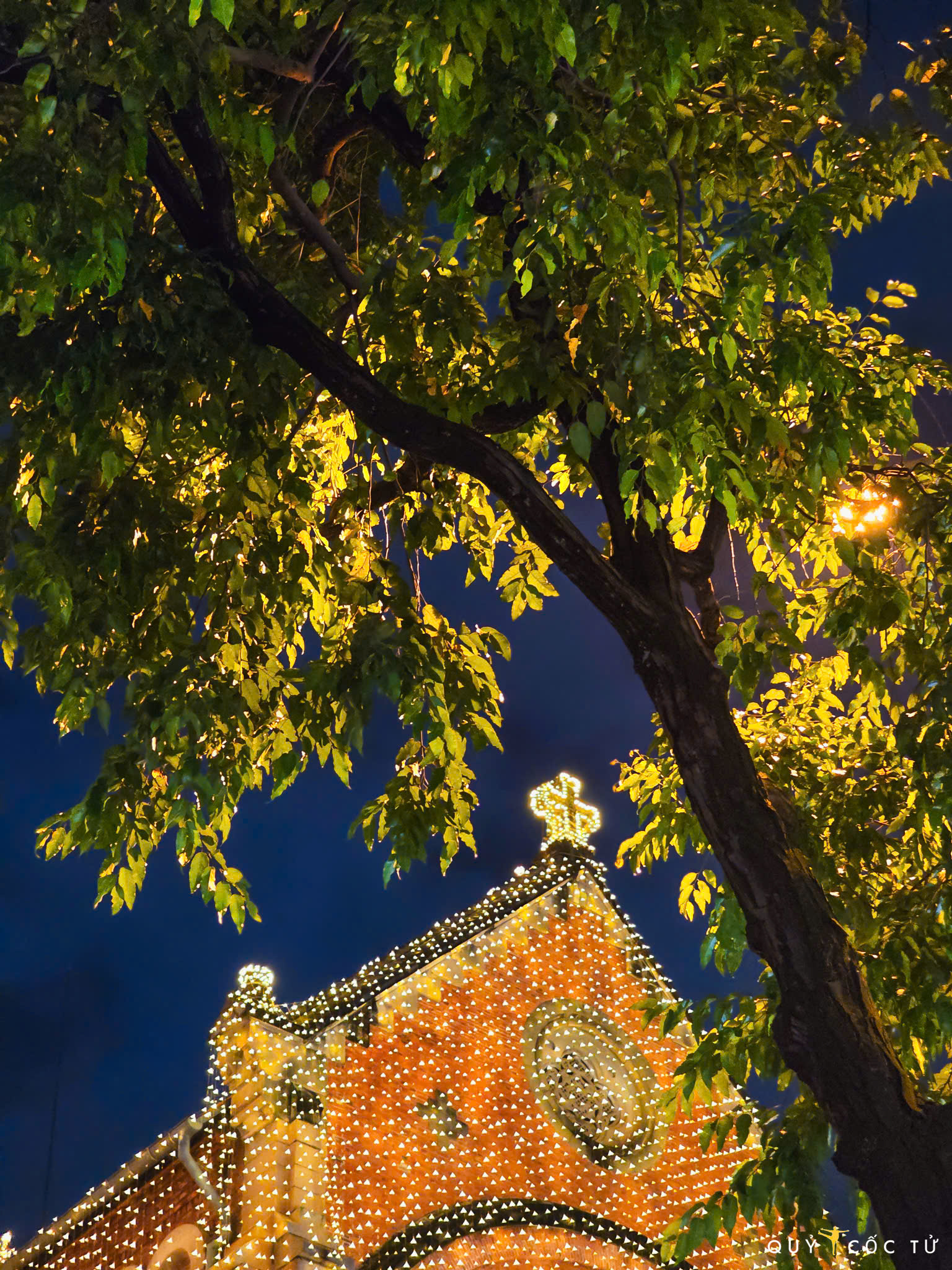 di 'san' goc chup 'tuyet doi dien anh' tai nha tho duc ba mua noel - 6