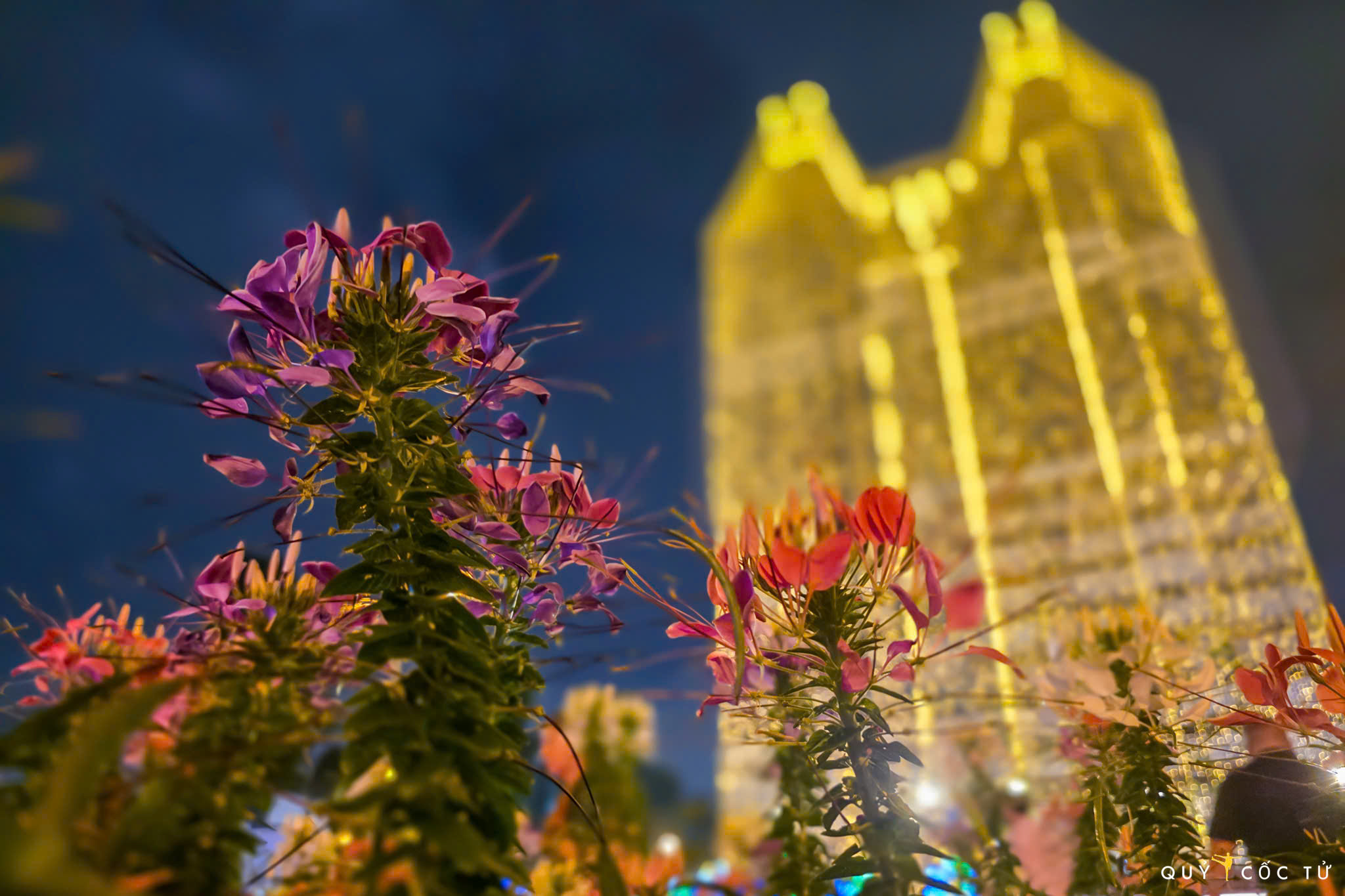 di 'san' goc chup 'tuyet doi dien anh' tai nha tho duc ba mua noel - 7