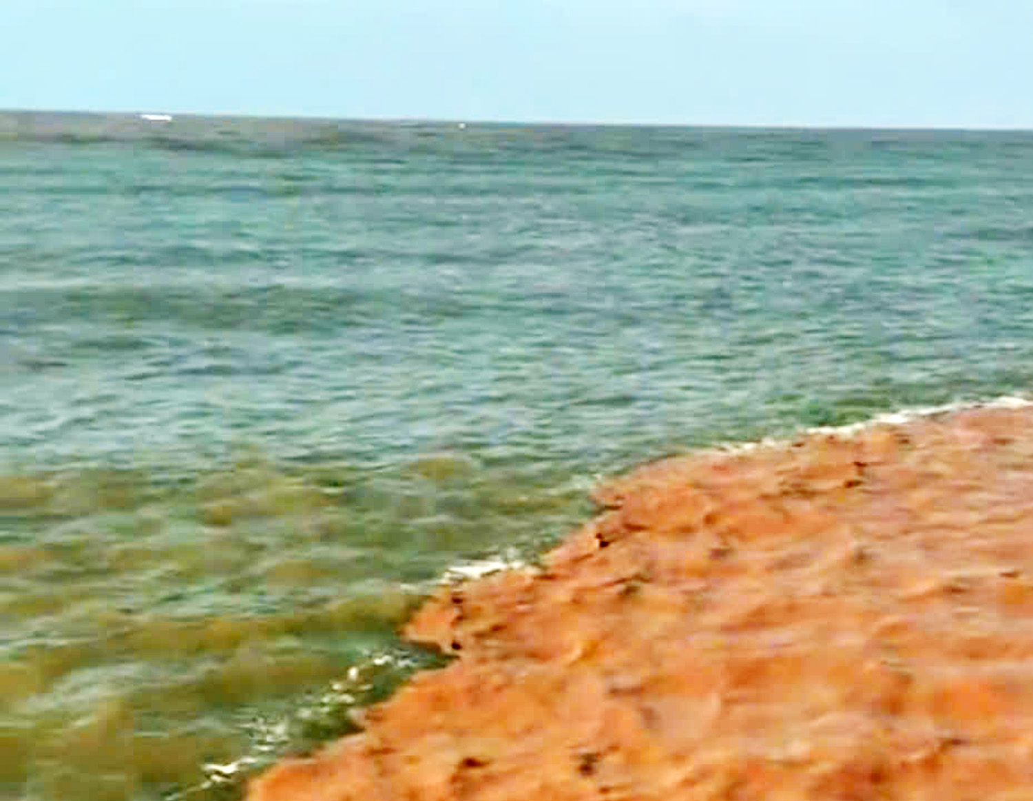 Nước biển ở Cà Mau có 2 màu dọc theo đê biển Tây là bình thường - 1