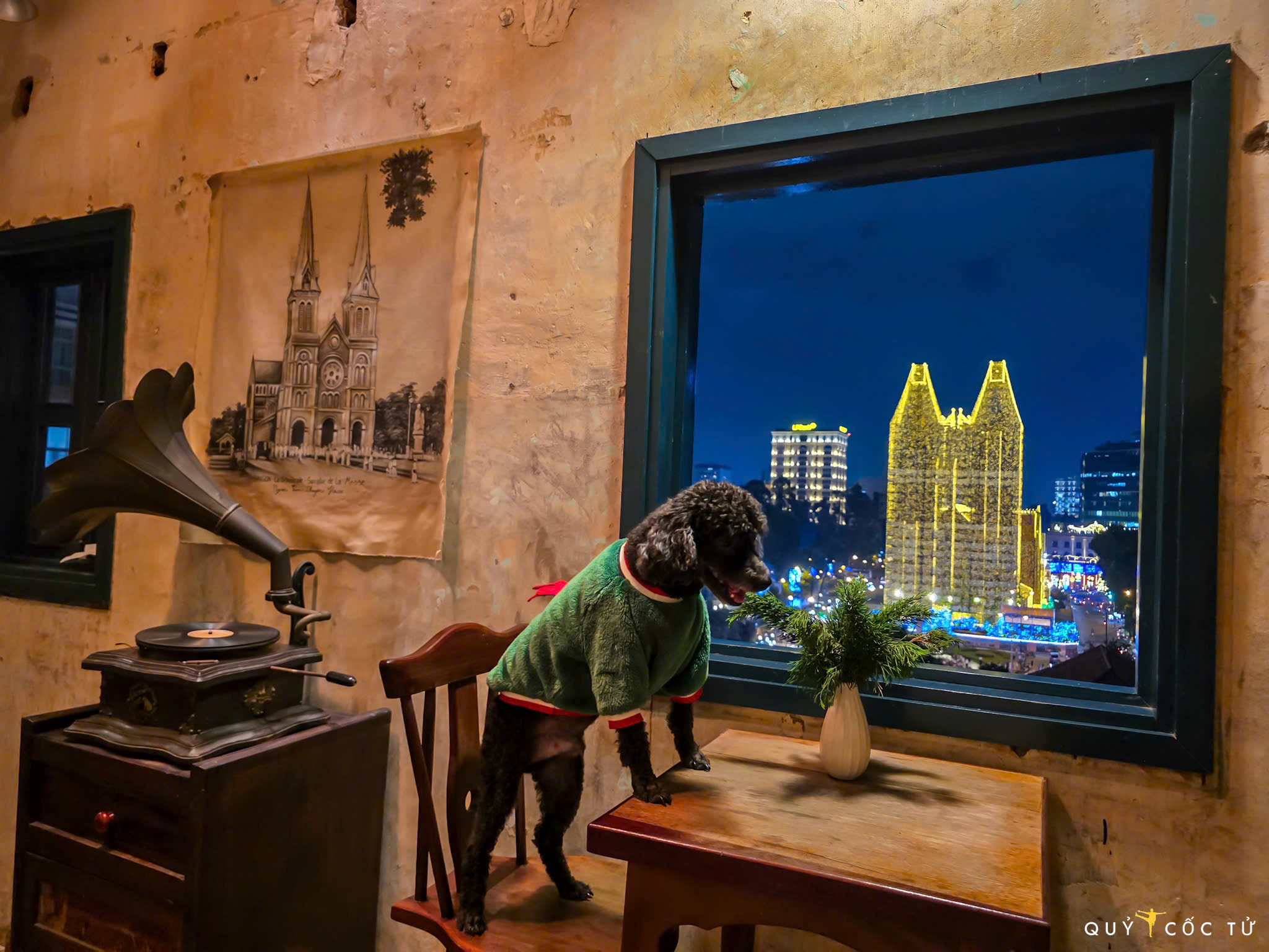 di 'san' goc chup 'tuyet doi dien anh' tai nha tho duc ba mua noel - 11