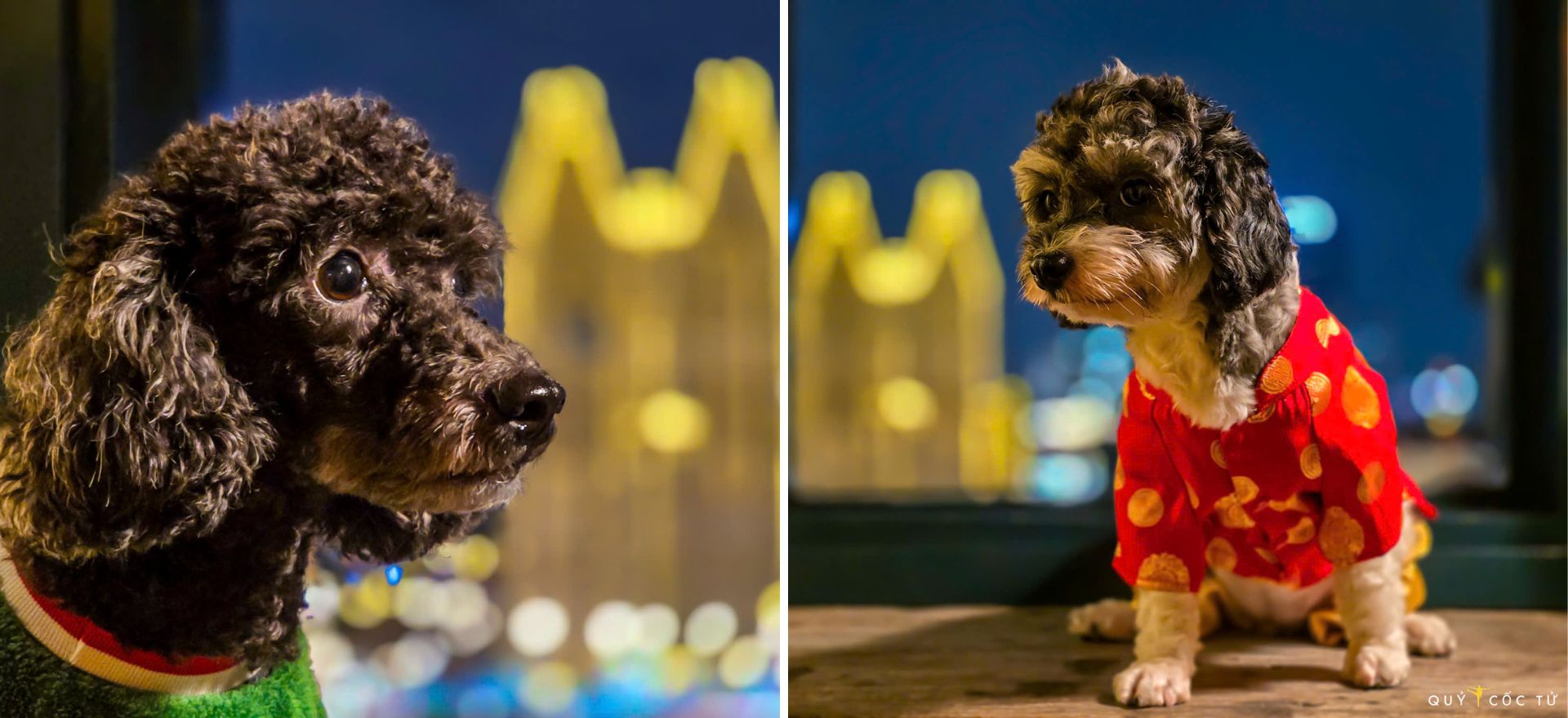 di 'san' goc chup 'tuyet doi dien anh' tai nha tho duc ba mua noel - 13