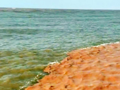 Chuyển động - Nước biển ở Cà Mau có 2 màu dọc theo đê biển Tây là bình thường