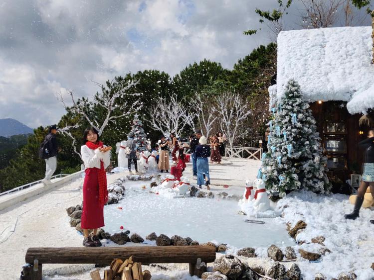 Đà Lạt là điểm du lịch được tìm kiếm nhiều nhất trong năm