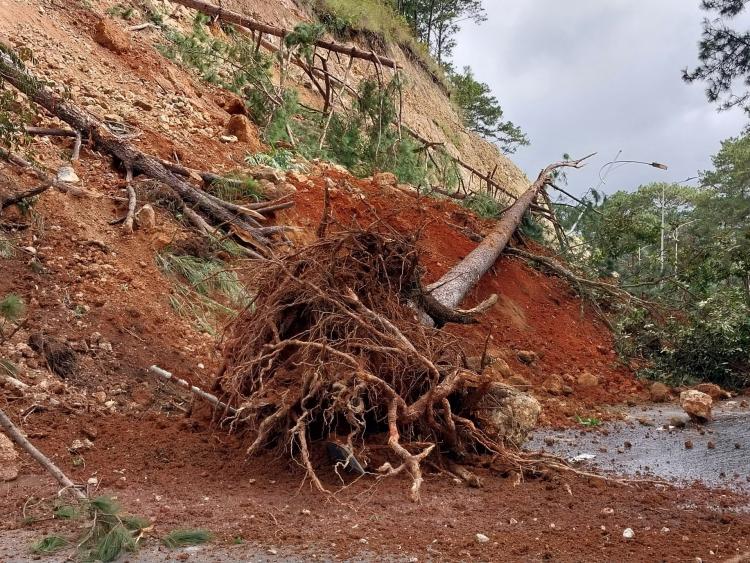 Lâm Đồng công bố tình huống khẩn cấp về thiên tai trên nhiều tuyến đường trọng yếu