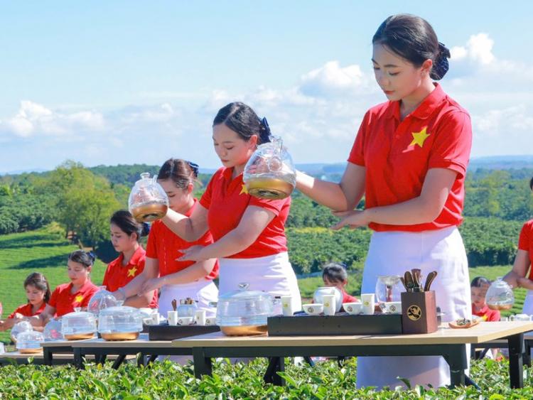 Đưa trà Việt vươn ra thế giới