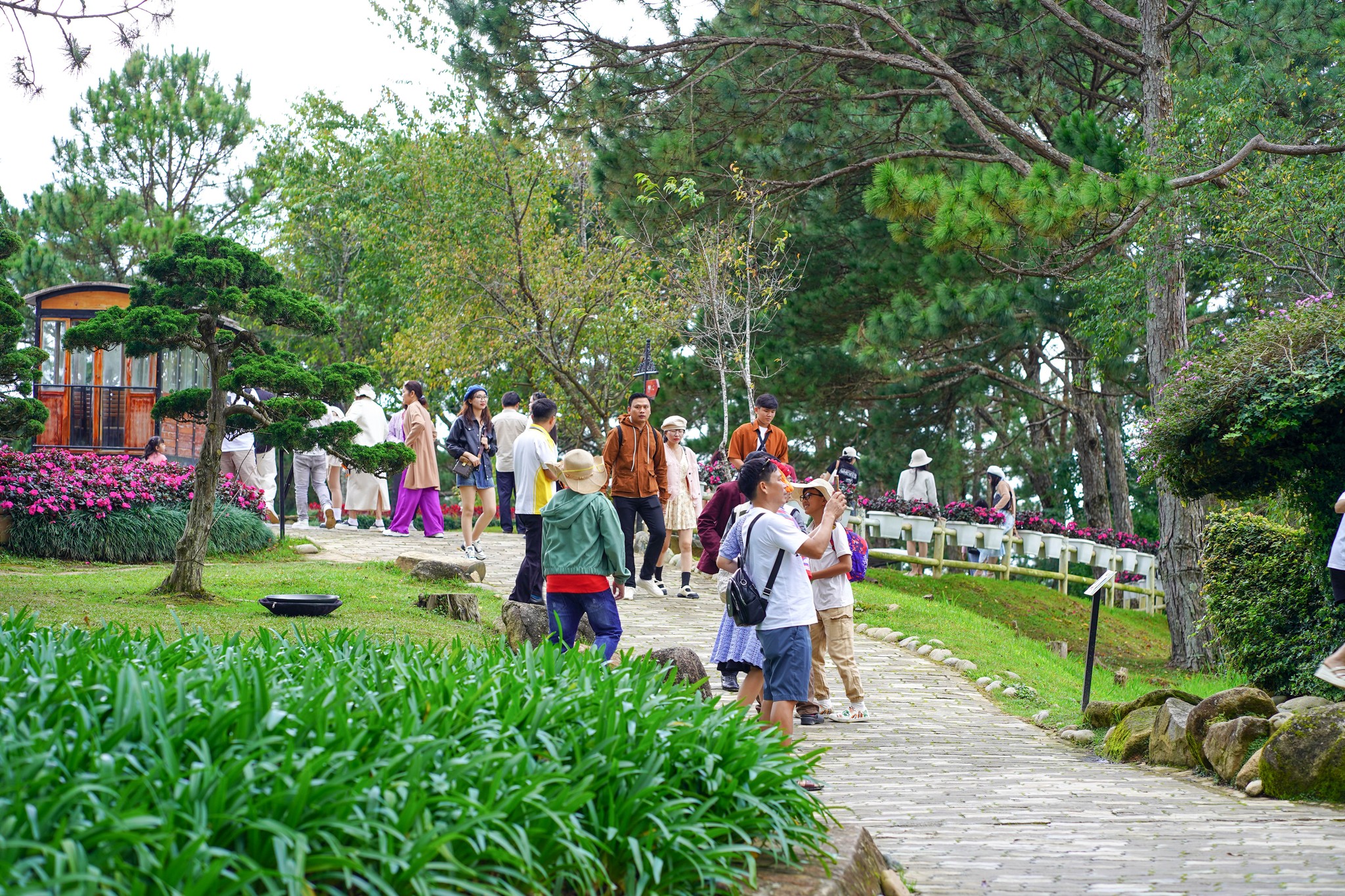 Đà Lạt là điểm du lịch được tìm kiếm nhiều nhất trong năm - 2