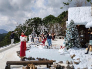 Đà Lạt là điểm du lịch được tìm kiếm nhiều nhất trong năm