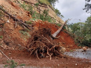 Chuyển động - Lâm Đồng công bố tình huống khẩn cấp về thiên tai trên nhiều tuyến đường trọng yếu