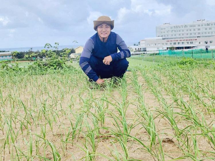 Hành trình đưa sản phẩm tỏi Lý Sơn đạt chuẩn OCOP 5 sao