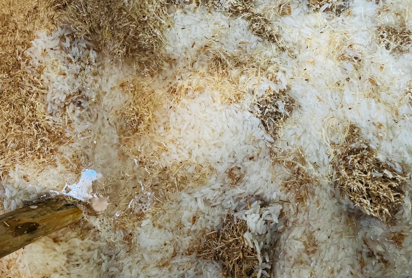 gia dinh co ba doi giu lua nghe nau mach nha nep truyen thong o quang ngai - 6