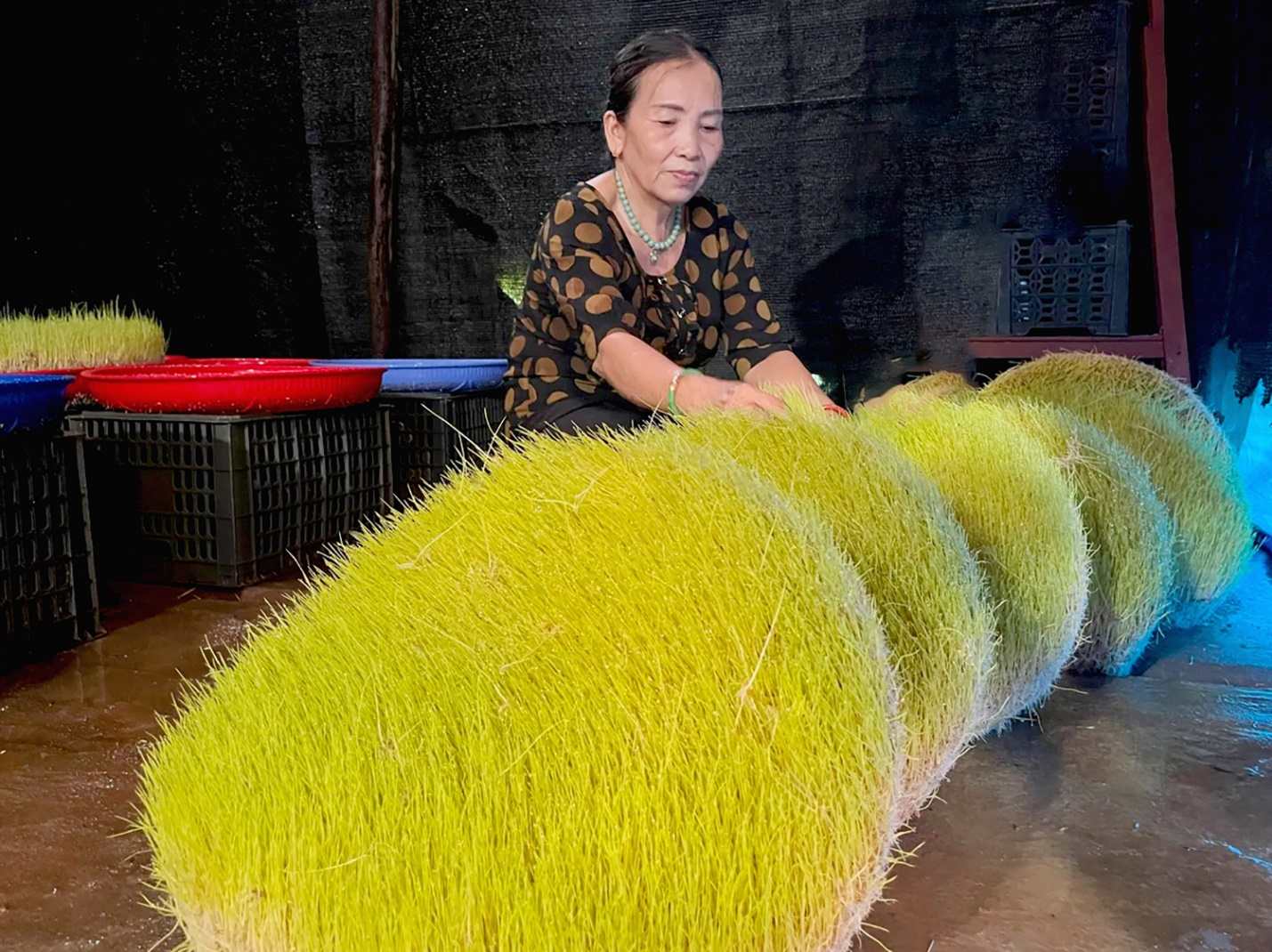 gia dinh co ba doi giu lua nghe nau mach nha nep truyen thong o quang ngai - 1