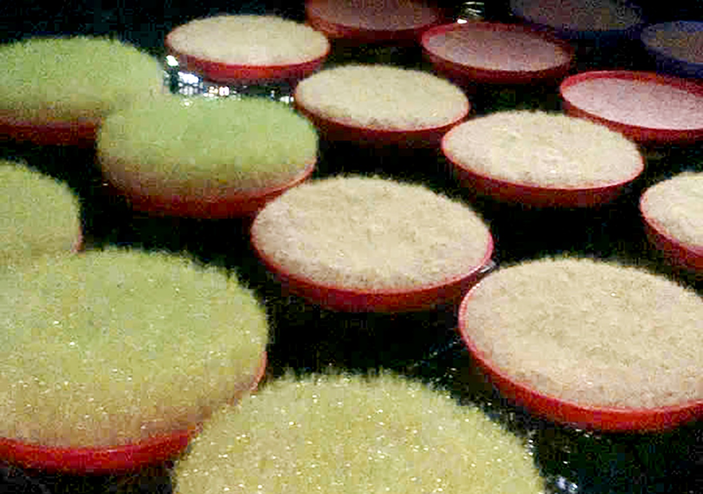 gia dinh co ba doi giu lua nghe nau mach nha nep truyen thong o quang ngai - 3