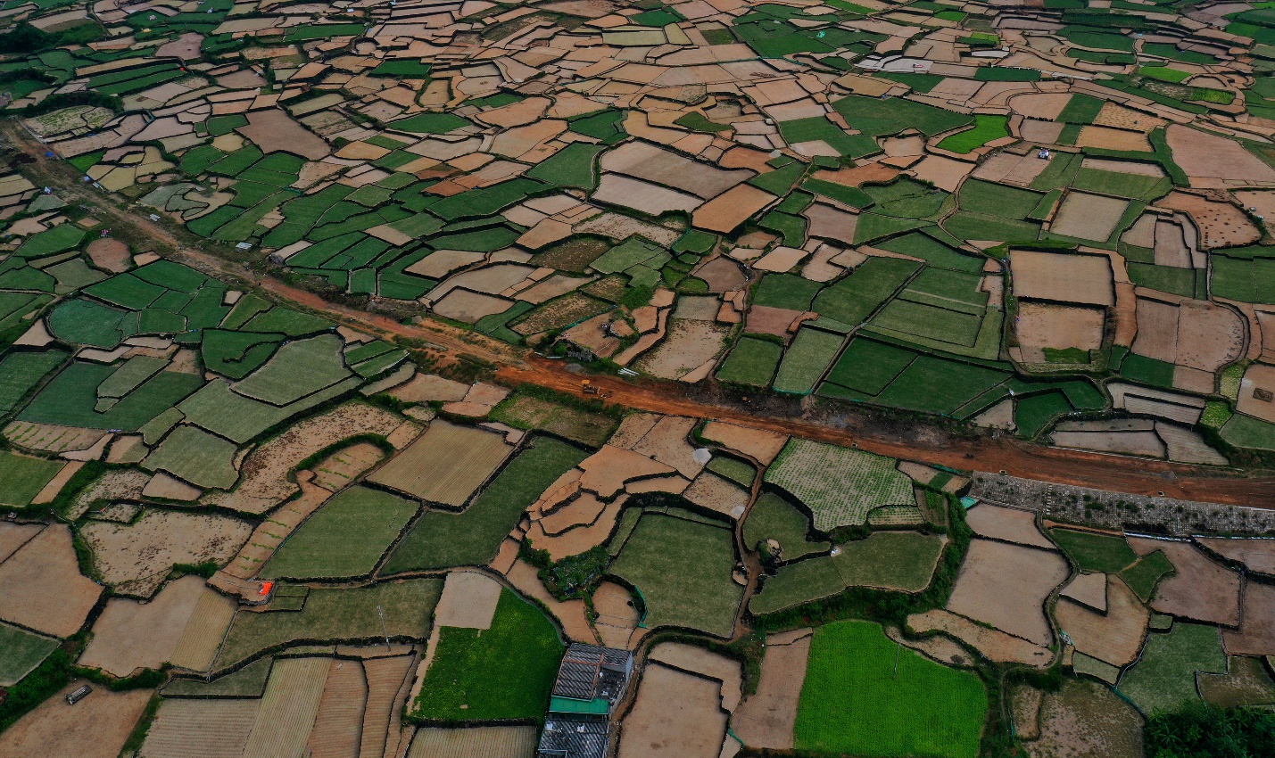 hanh trinh dua san pham toi ly son dat chuan ocop 5 sao - 2