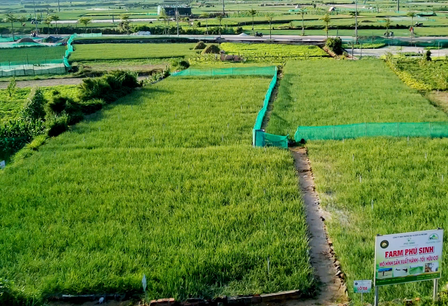 hanh trinh dua san pham toi ly son dat chuan ocop 5 sao - 7