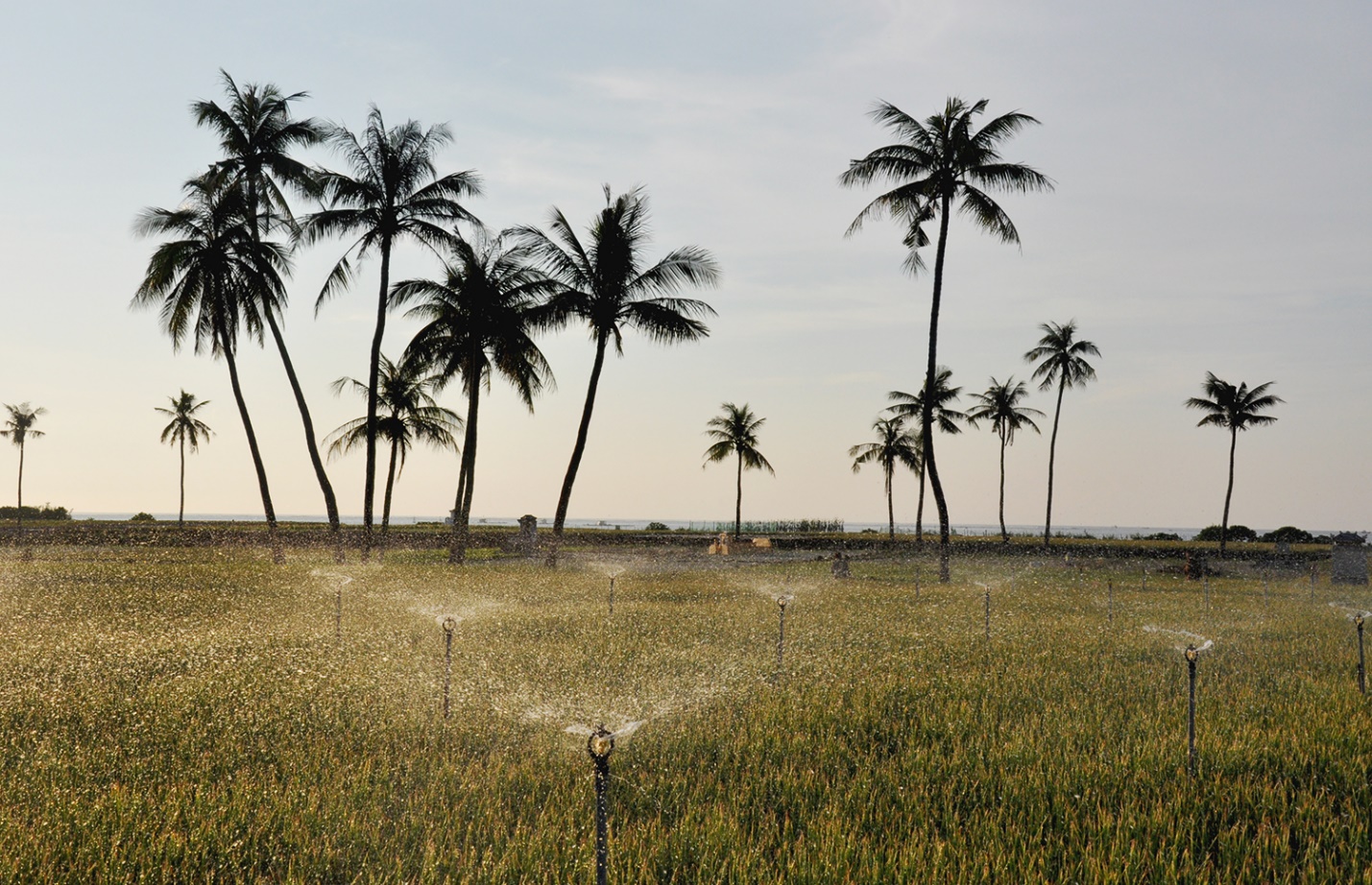 hanh trinh dua san pham toi ly son dat chuan ocop 5 sao - 5