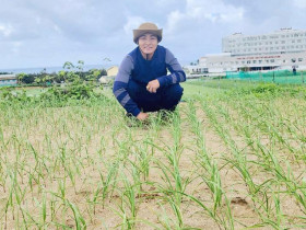  - Hành trình đưa sản phẩm tỏi Lý Sơn đạt chuẩn OCOP 5 sao