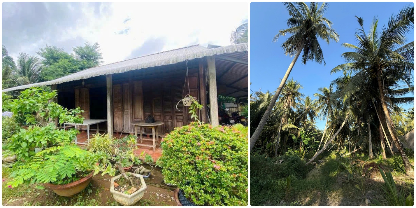 Du lịch cộng đồng Nhị Hòa (Vĩnh Long) đón đoàn khách đầu tiên sau thời gian ngắn khởi động - 4