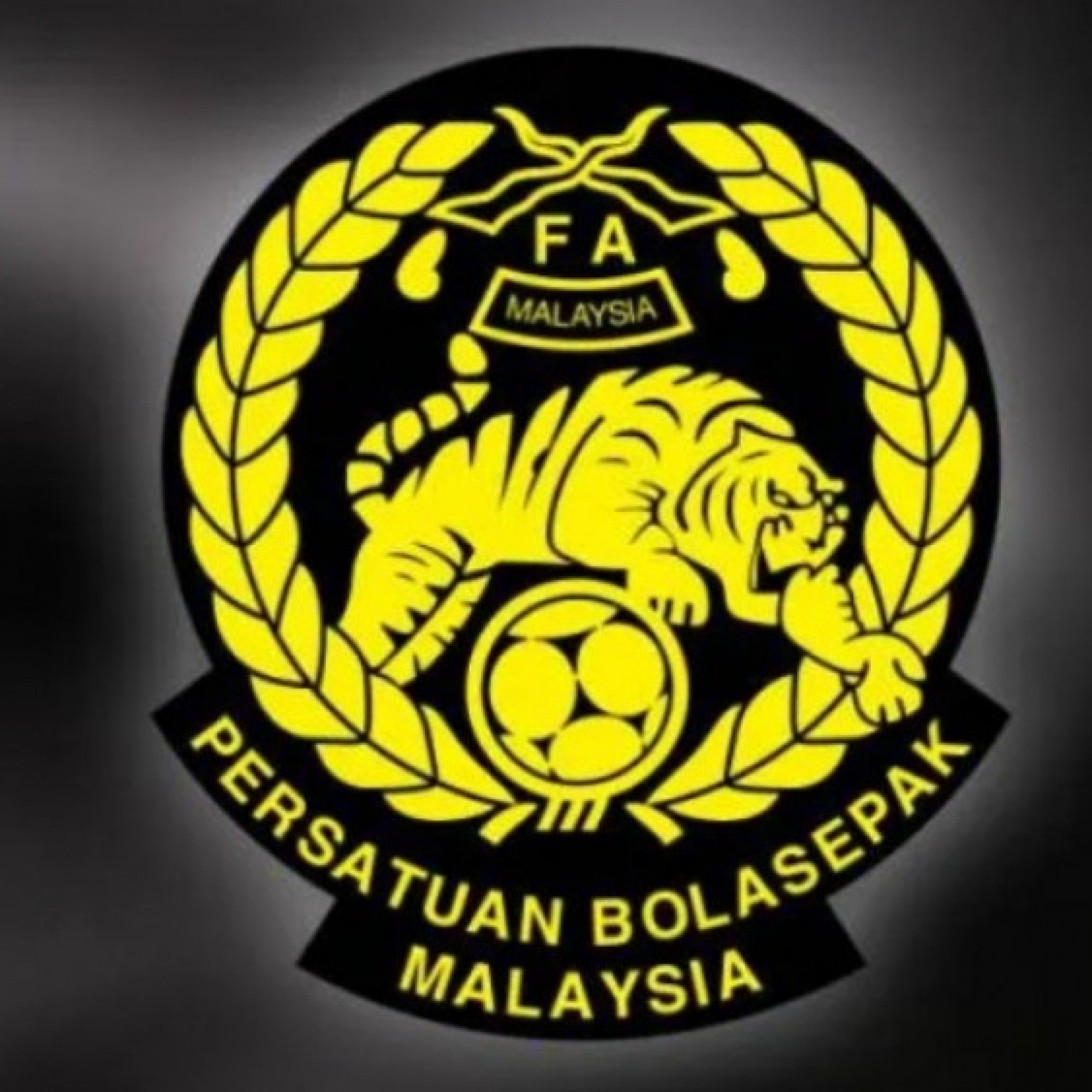  - Malaysia chính thức kháng cáo lên CAS vụ 7 sao nhập tịch chui, nỗ lực cuối cùng