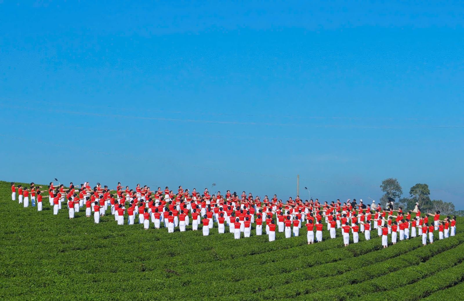 Lễ hội Trà Quốc tế 2025 khép lại thành công, mở ra kỳ vọng lớn cho ngành trà Việt Nam - 3