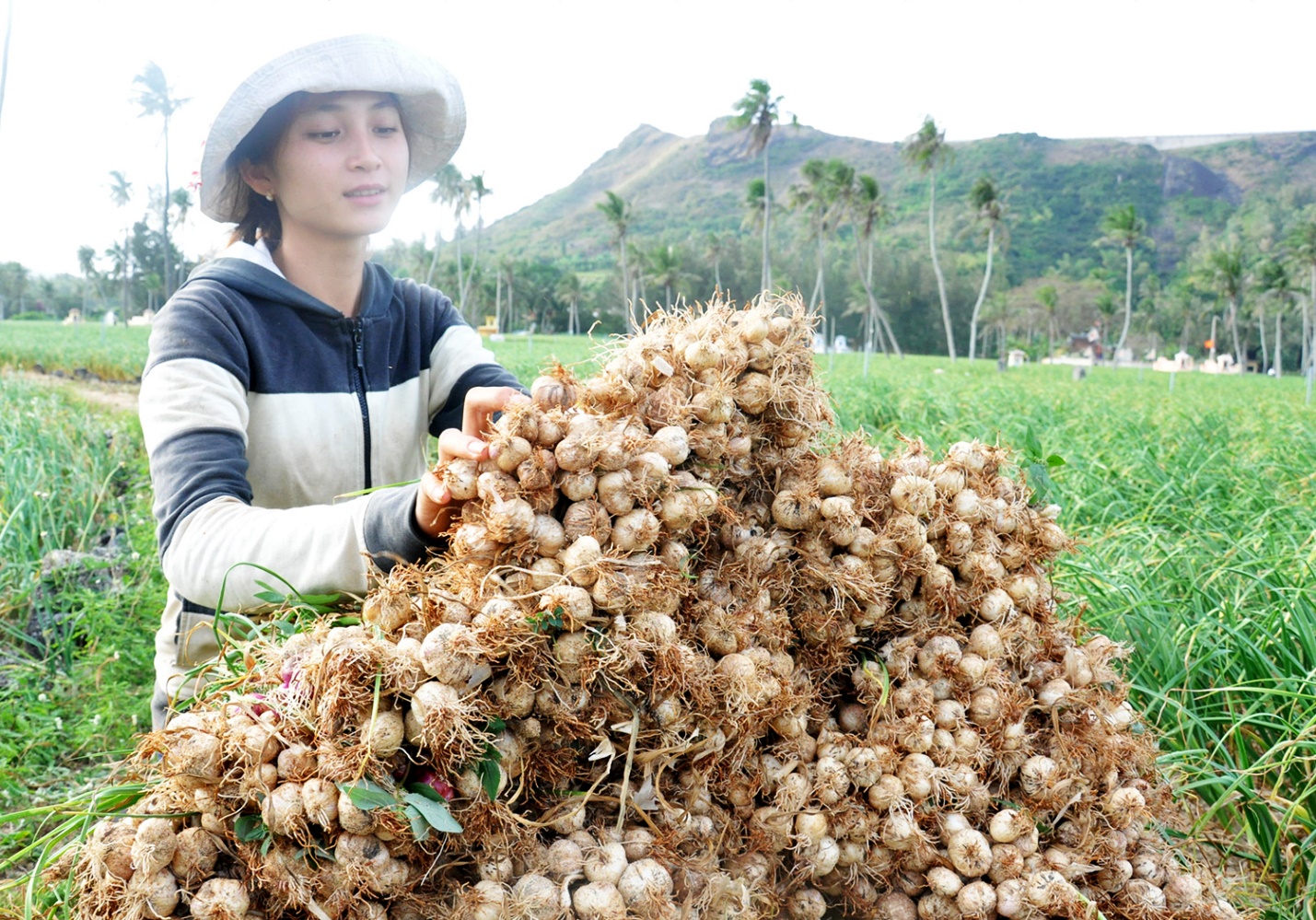 vuong quoc toi o dac khu ly son - 14