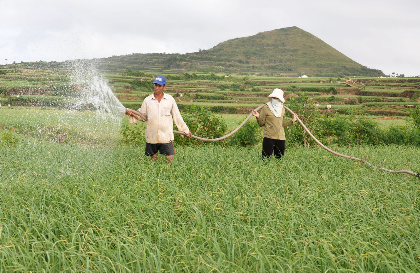 vuong quoc toi o dac khu ly son - 11