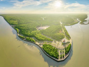 Chuyển động - Hơn 2.630 tỷ đồng đầu tư cho ‘lá chắn xanh’ ven biển