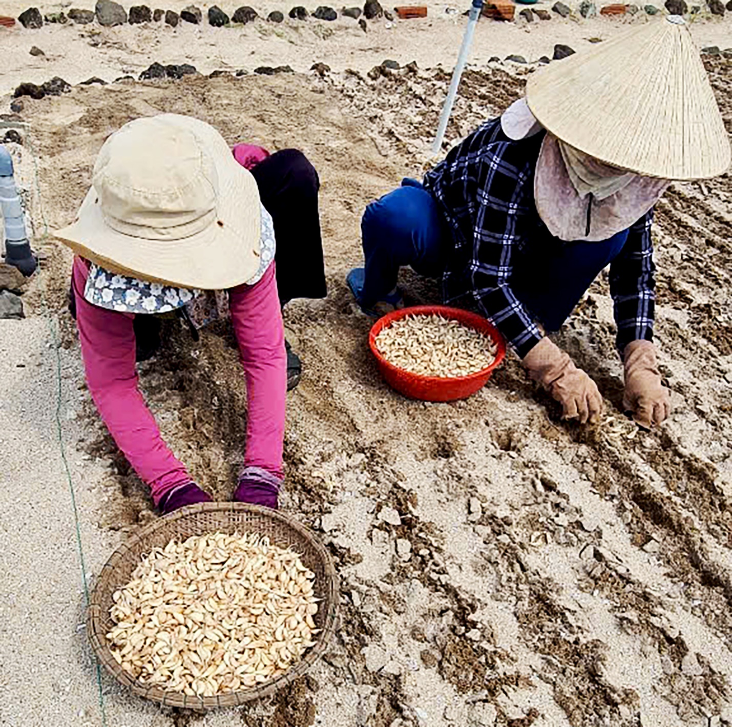 tram tich nui lua tao nen ruong bac thang trong toi 'doc nhat vo nhi' o viet nam - 2