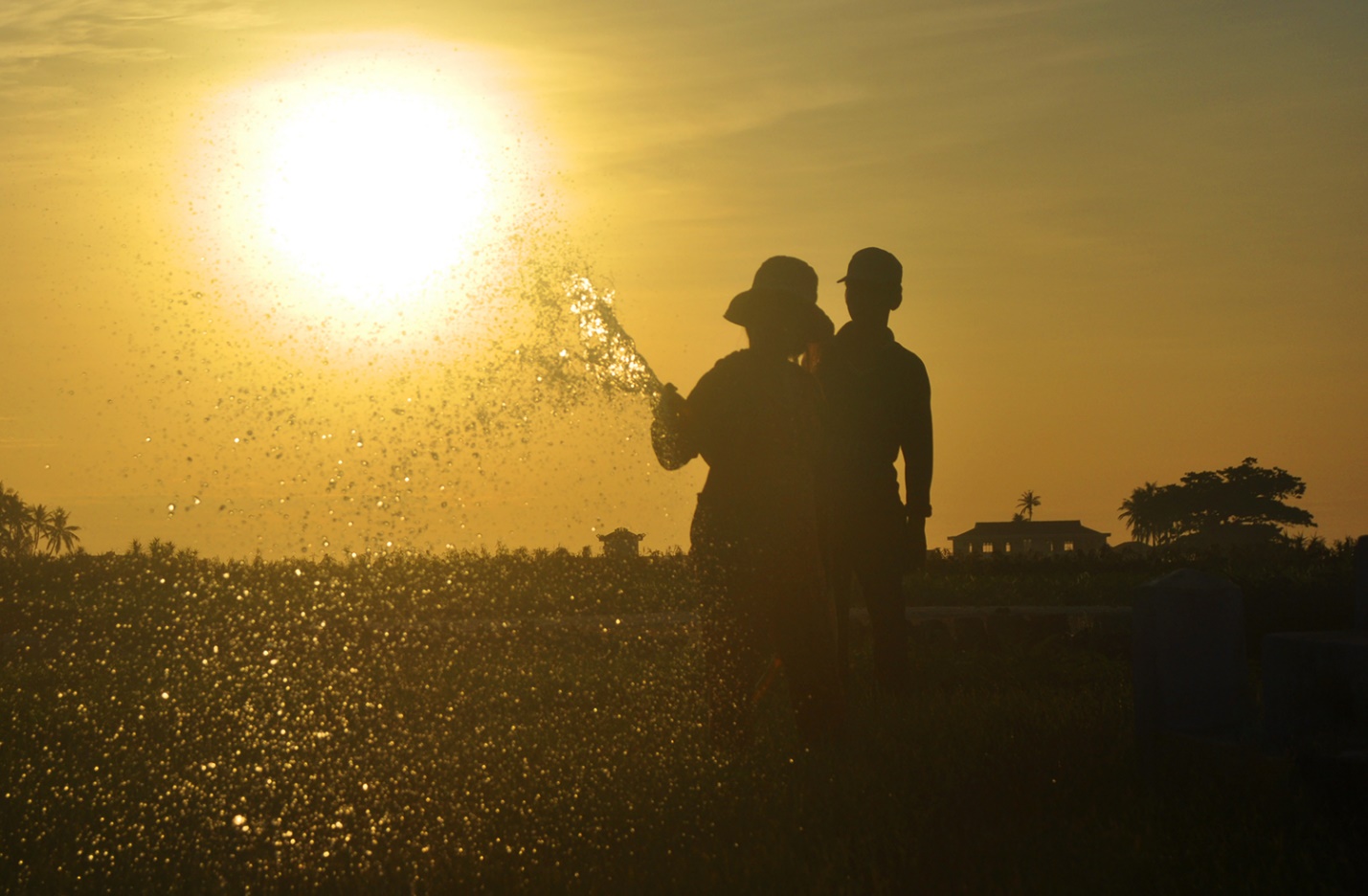 tram tich nui lua tao nen ruong bac thang trong toi 'doc nhat vo nhi' o viet nam - 7